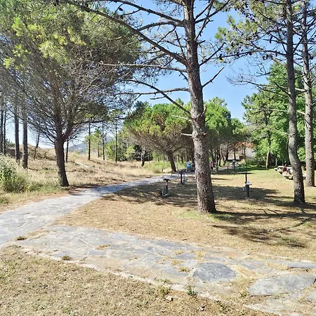 Appartement Pes Na Area 02 Finisterre